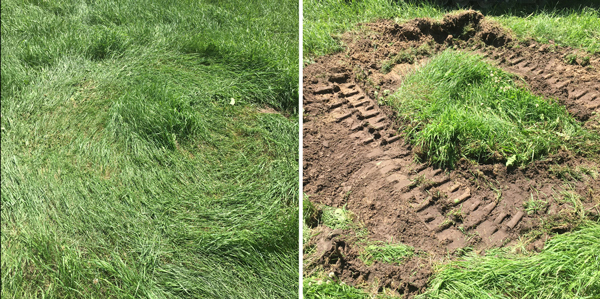 ASV Smooth CTL Turf Tracks Outperform Treaded Tracks In Certain Conditions