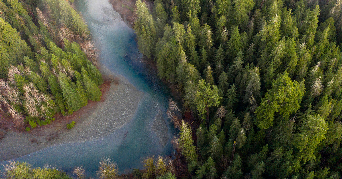 BC Provides Update On Old Growth, Worker Supports