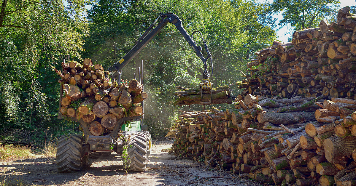 SFI Announces Forest-Focused Conservation Grants