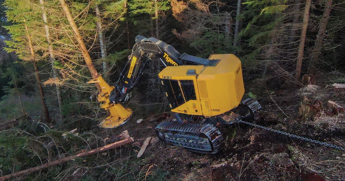 Tigercat’s LX830 Feller Buncher Advances To E-series