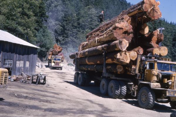 Kenny's Loggin' – Port Neville Days