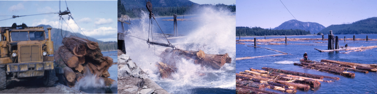 Kenny's Loggin – Logging, Lunching & Learning Loaders