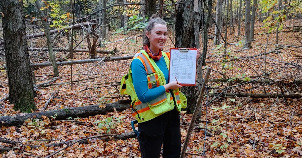 A Rookie In Forestry
