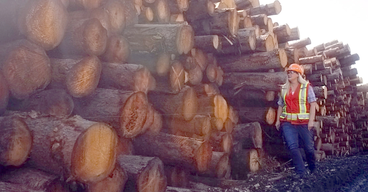 Alberta Forestry: A Pillar Of The Provincial Economy