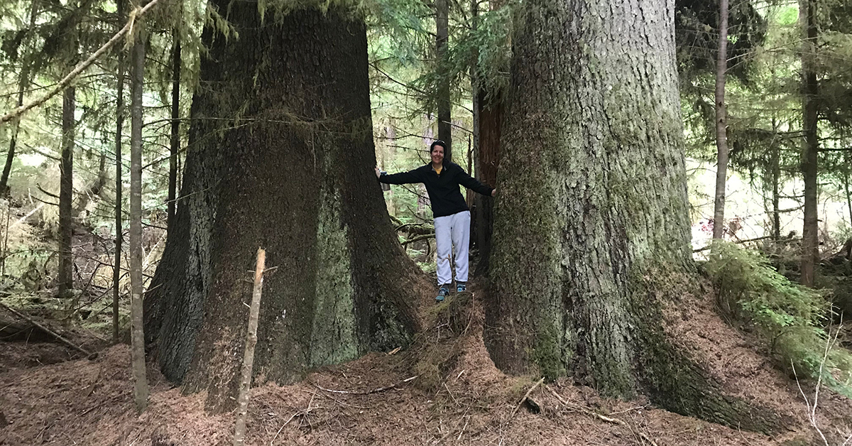 Careers In Forestry: Doing The Unexpected