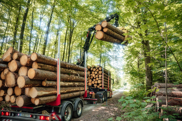 Hiab Launches Next Generation Loglift Forestry Cranes
