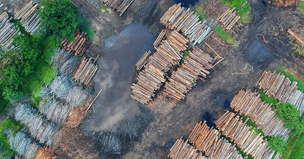 Ontario Calls Out Unfair Duties on Softwood Lumber