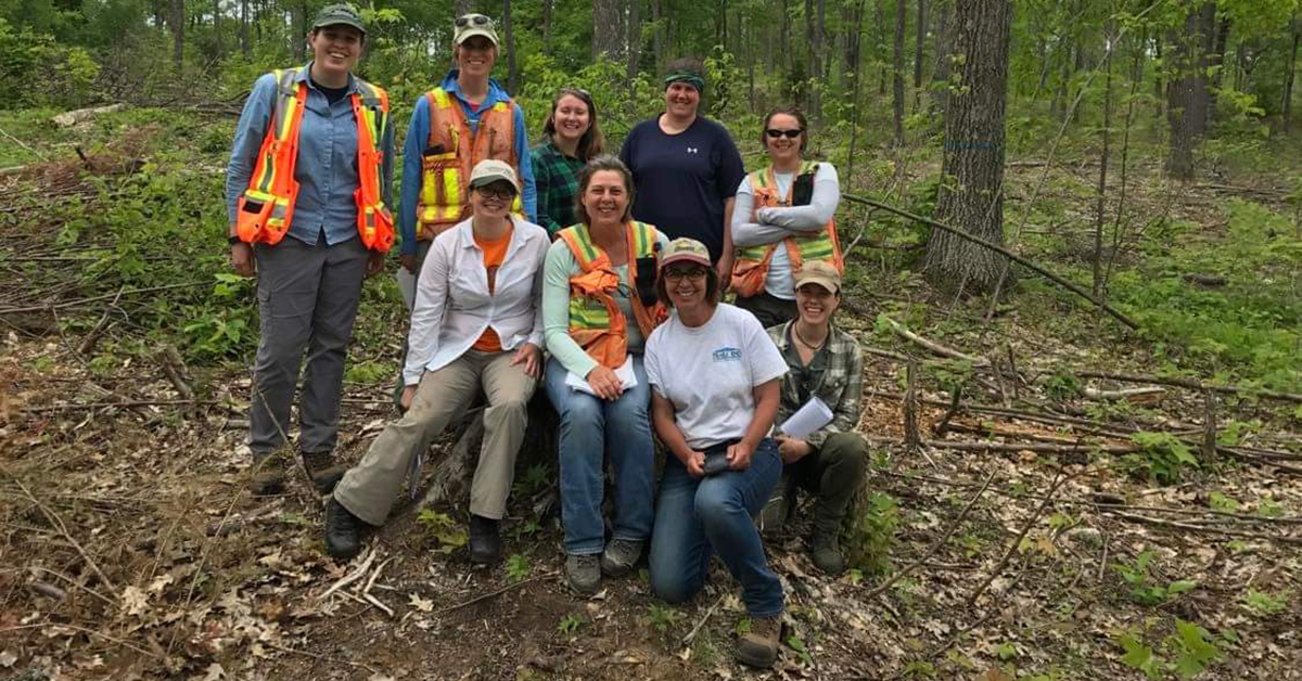 Striving For Age Diversification In Forestry