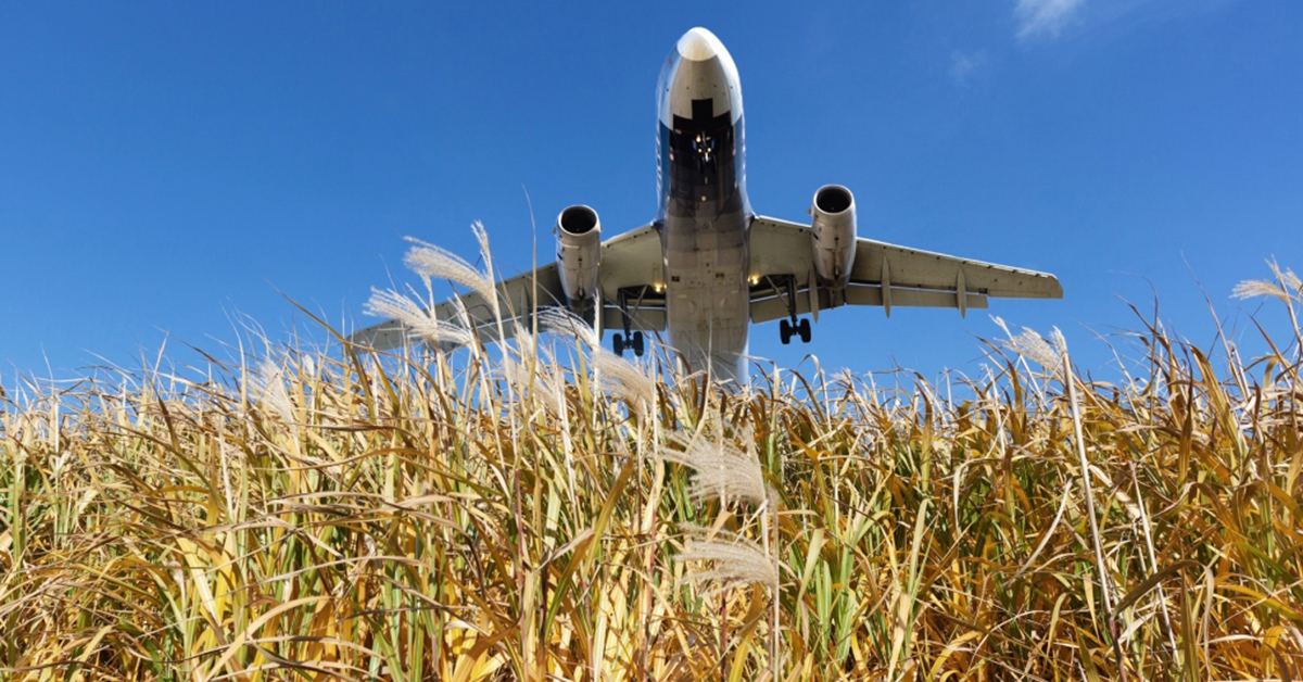 Emission-Free, Sustainable, Biojet Fuel On The Horizon