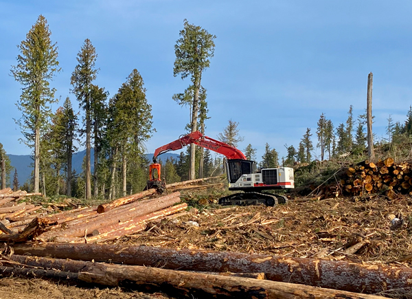 LBX Company Announces X4S Series Excavators