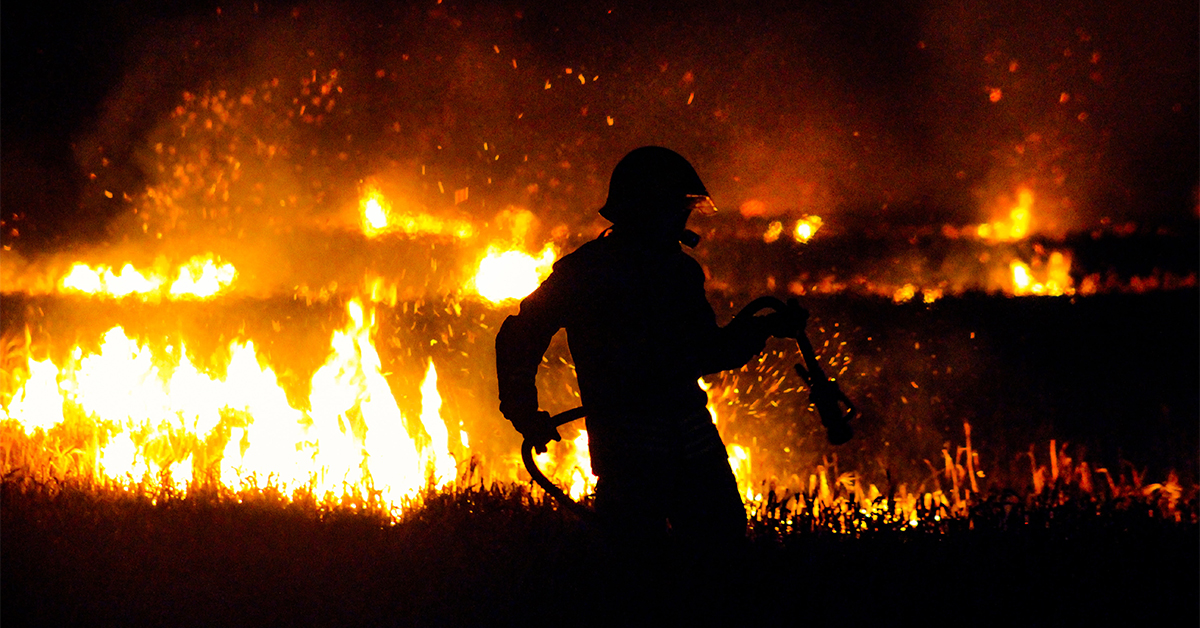 Idaho Trains Loggers To Fight Forest Fires