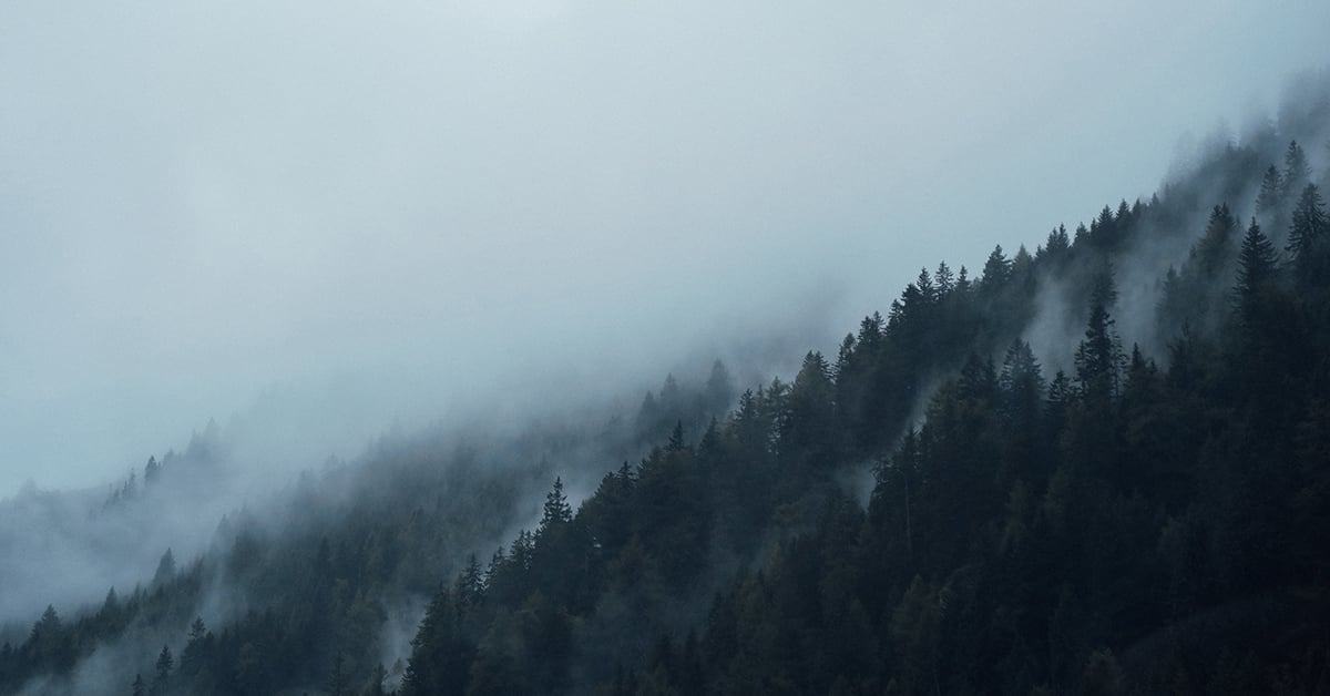Alberta Secures Sustainable Timber Access