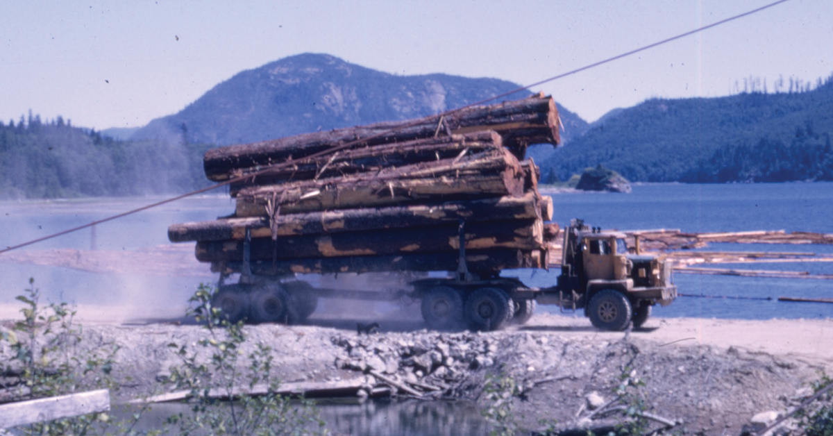 Kenny's Loggin' – Norie Brothers' Mack Trucks