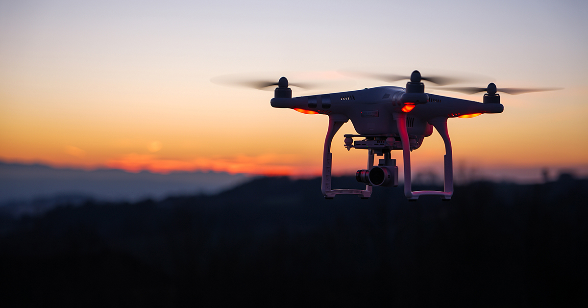 What Is The Future For Forestry?