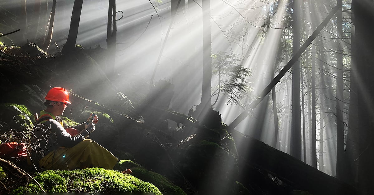 Public Expectations Require Forest Professionals to Balance Competing Desires