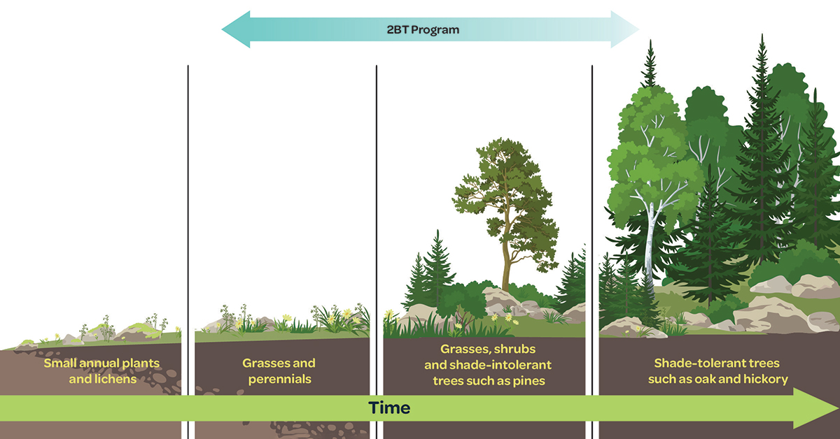 Two Year Tree Planting Plan Announced In BC