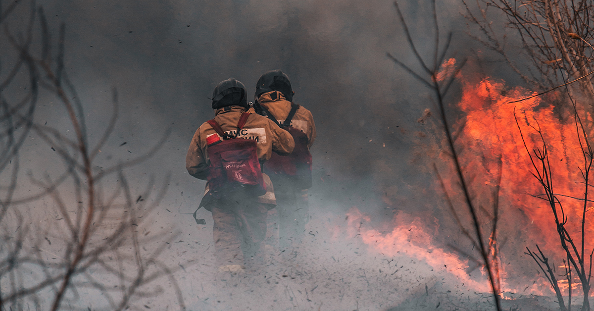 New Forestry Agreements With First Nations Accelerate Wildfire Salvage