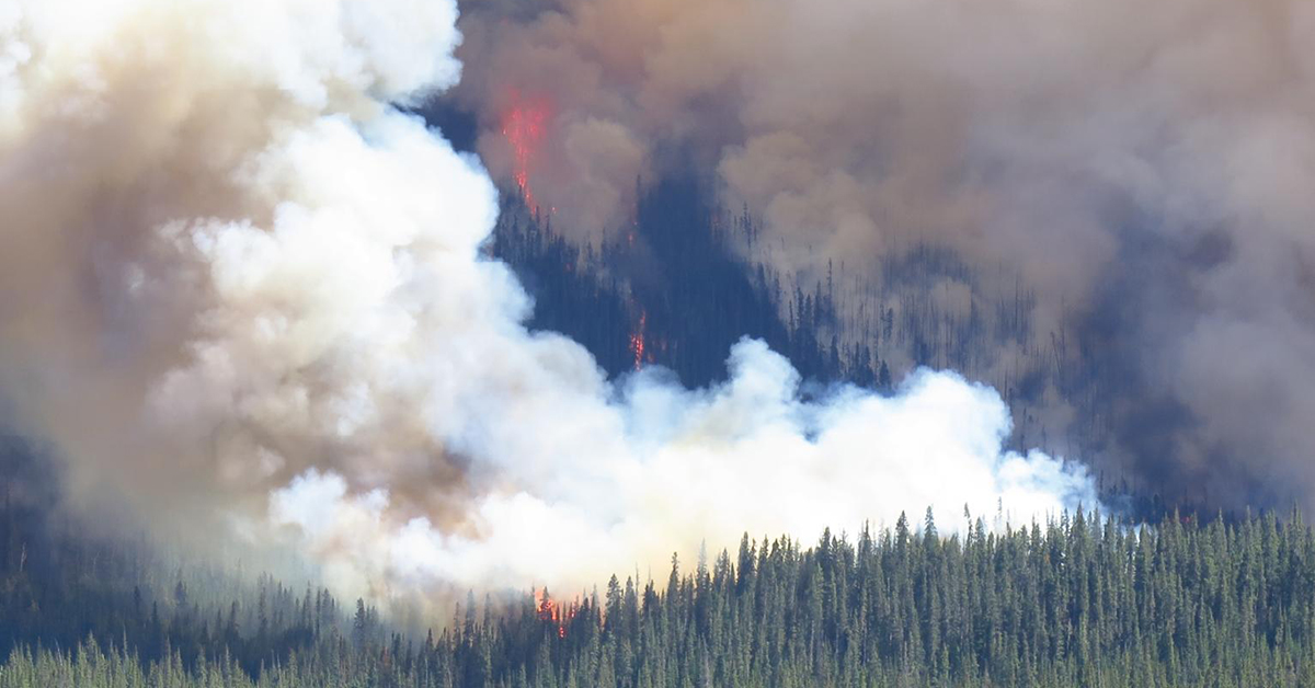 Alberta declares provincial state of emergency