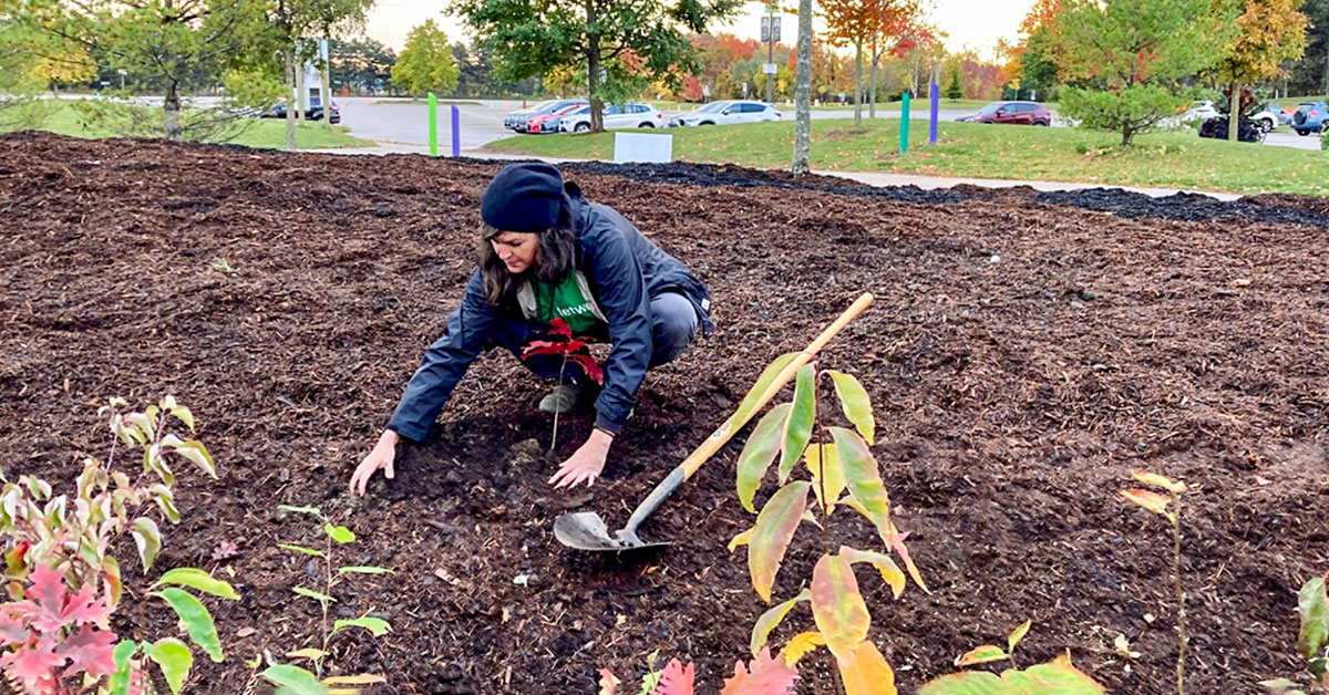 National Mini Forest Program Kicks Off In Richmond, BC