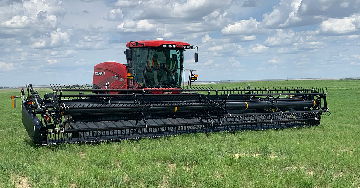 Case IH WD5 Series Windrowers Now Support Honey Bee WSC Draper Heads