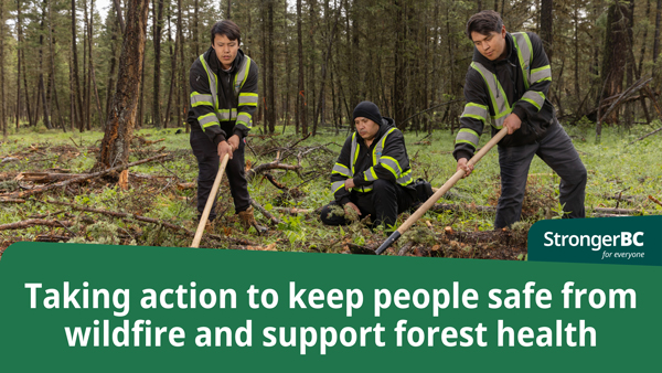 New Protections Benefit Forests And Communities In BC