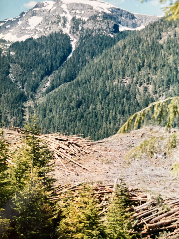 Kennys Loggin – Tree Pullers, Sawlogs, and Conk Knots
