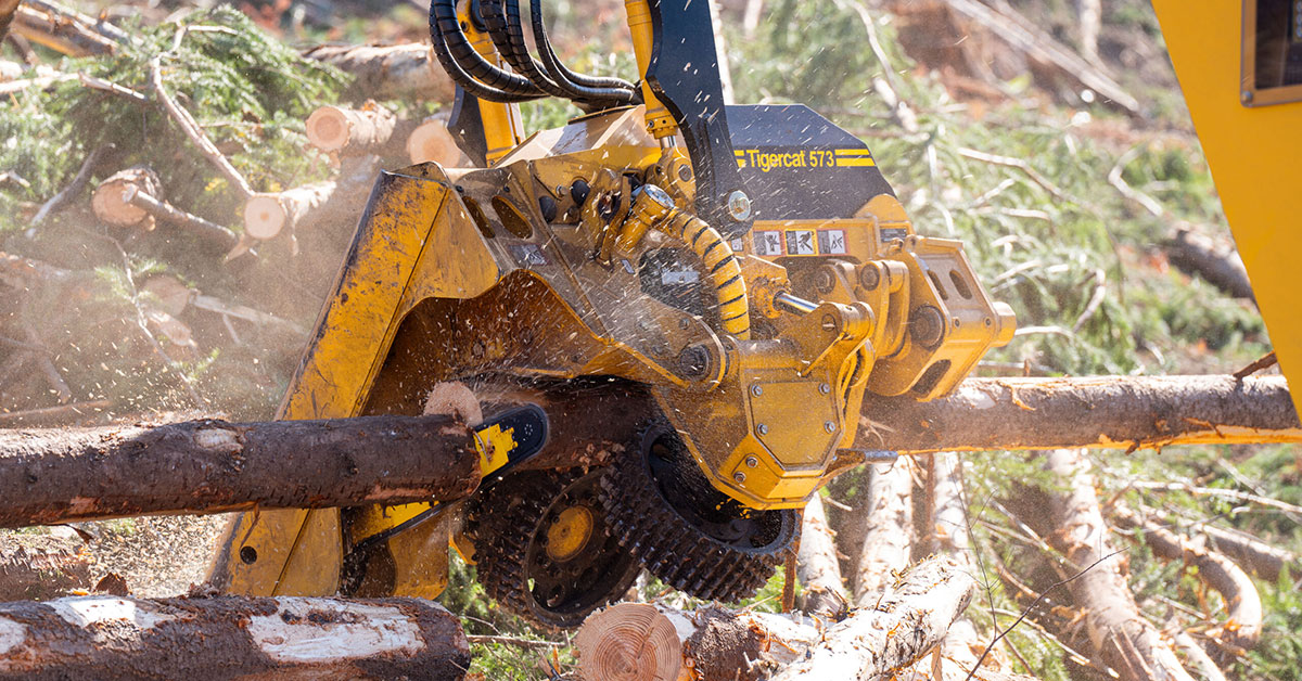 New Triangulated Harvesting Head From Tigercat