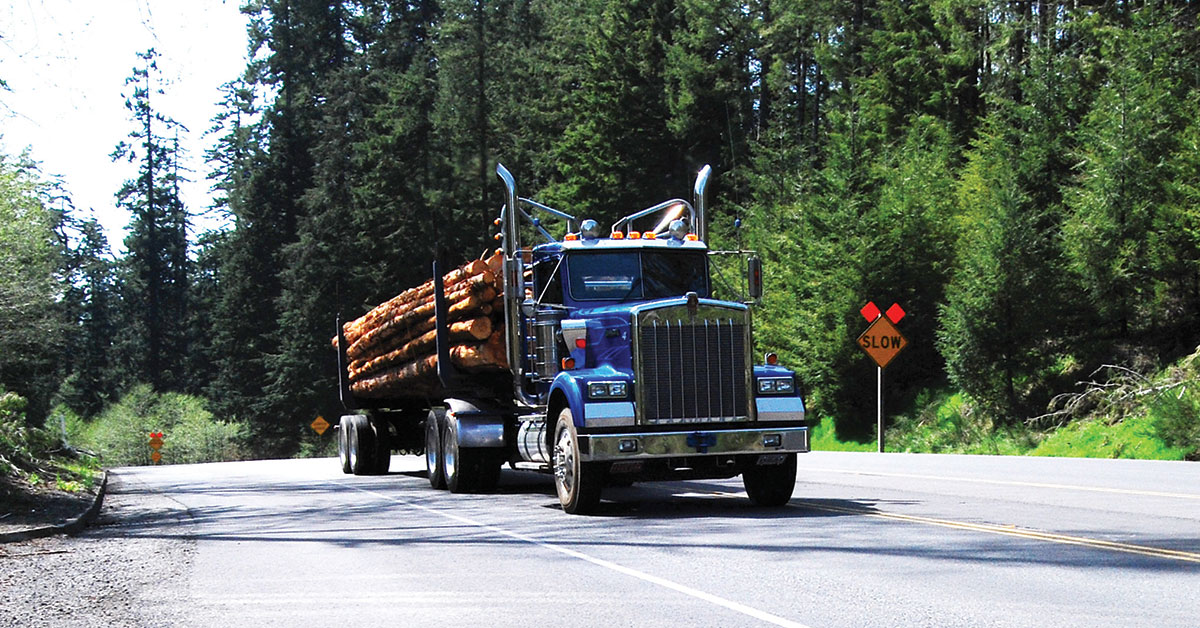 Collaborative Research For Improved Safety Of Forestry Workers