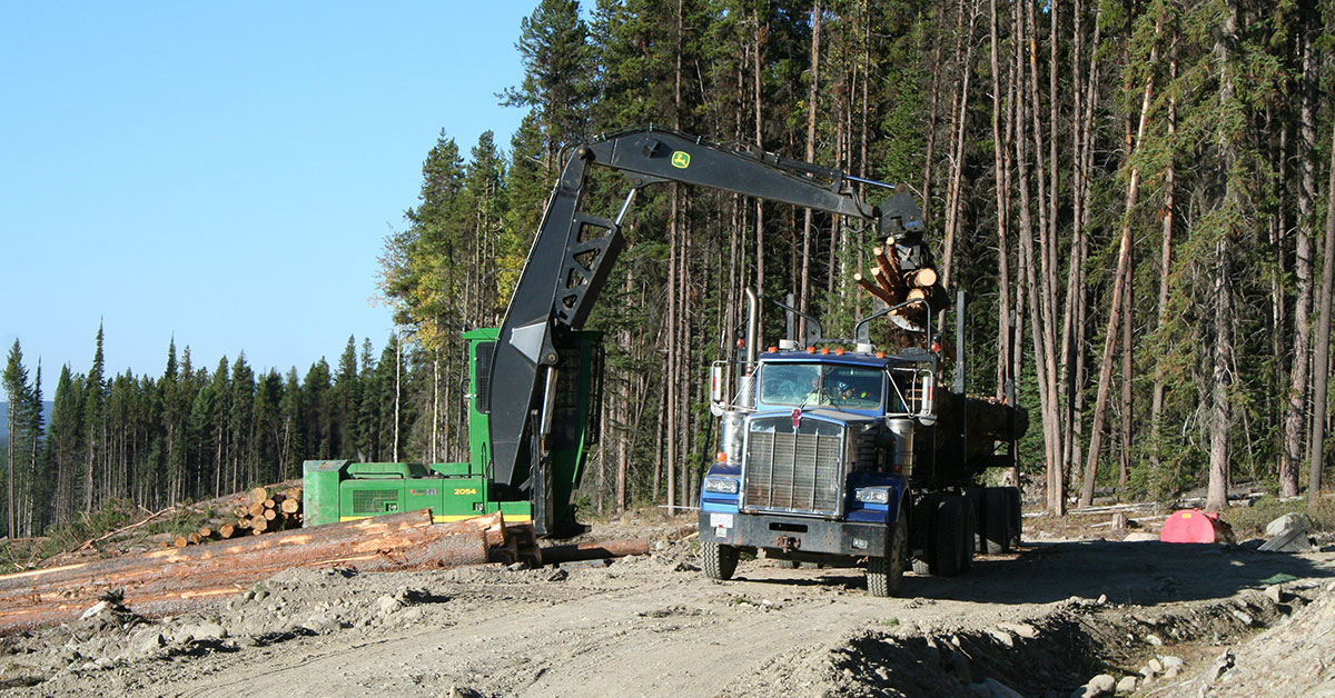 BC Continues Investments To Support Forest Sector
