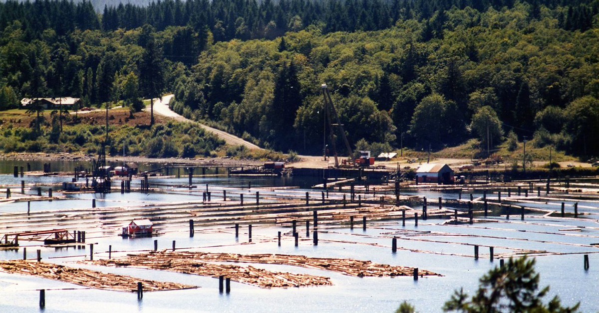 Kenny's Loggin' - Engineering at Menzies Bay