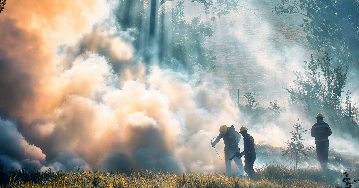 BC Forestry Employers Need To Get Ready For New First Aid Requirements
