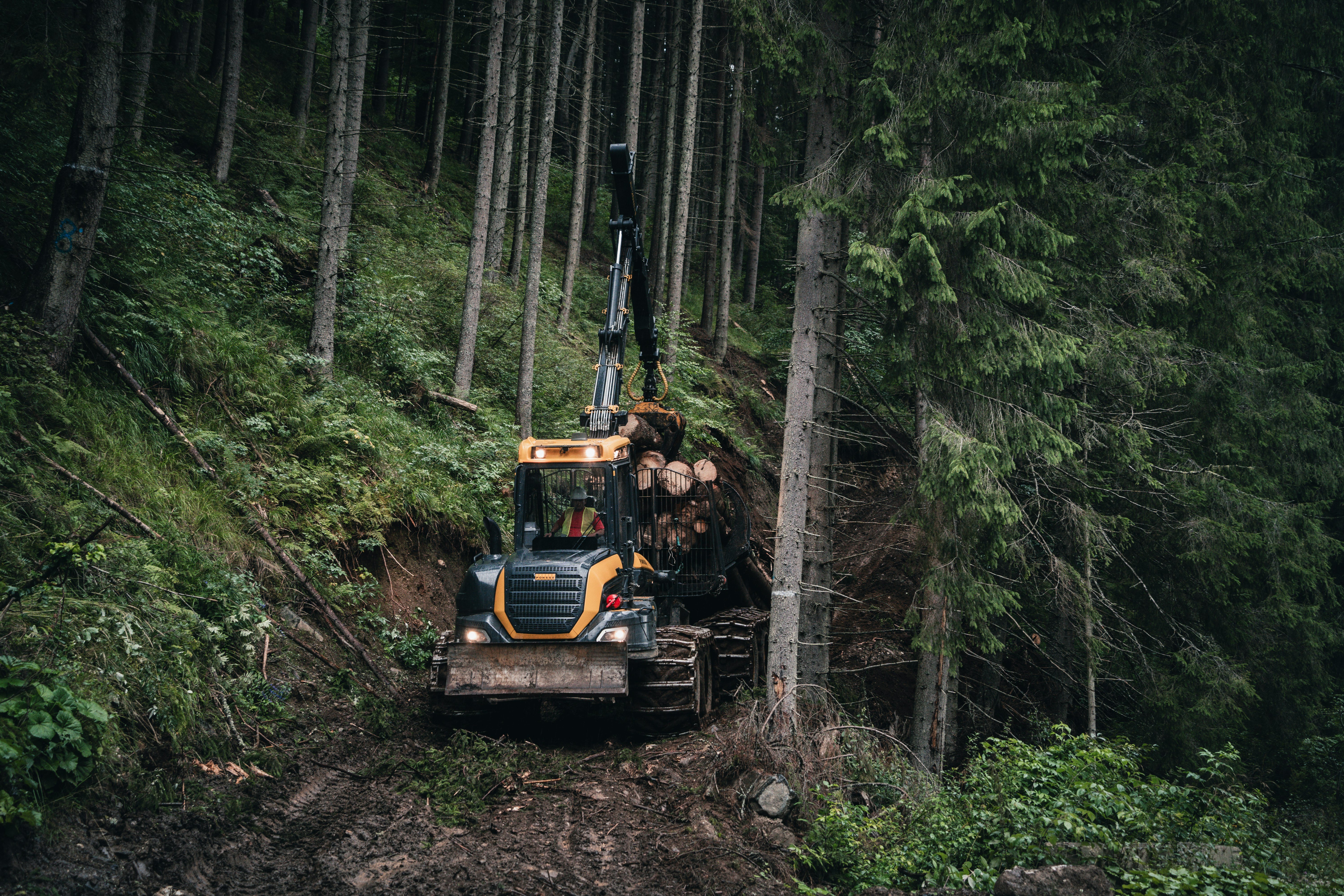 Forestry forwarder climbing a steep muddy slope while loaded with cut logs.