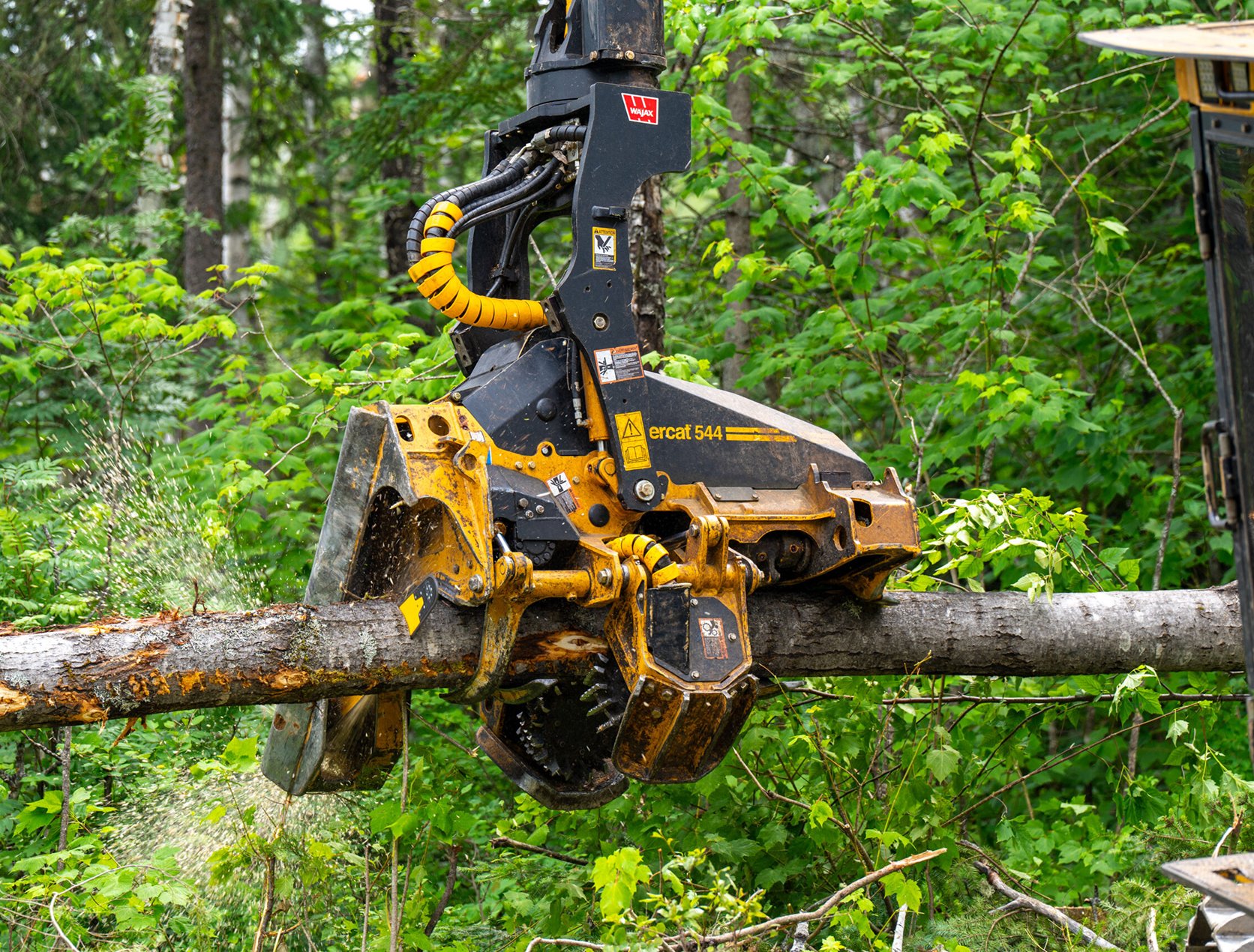 New, Lighter 544 Harvesting Head From Tigercat