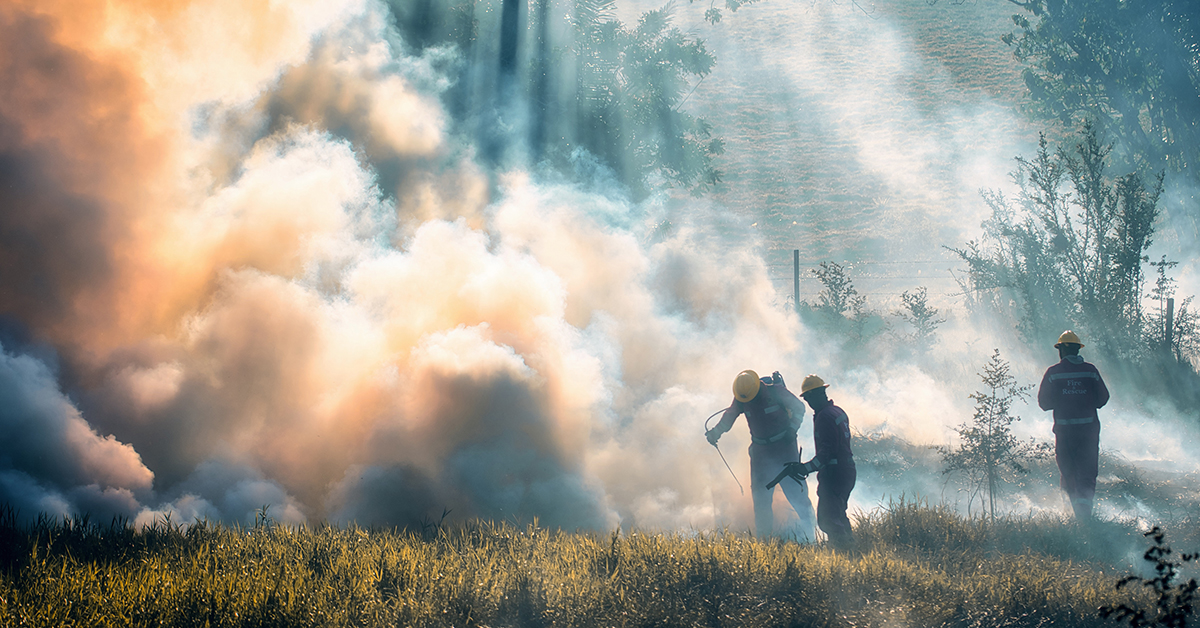 Firefighter Training Underway Ahead Of 2025 Wildfire Season