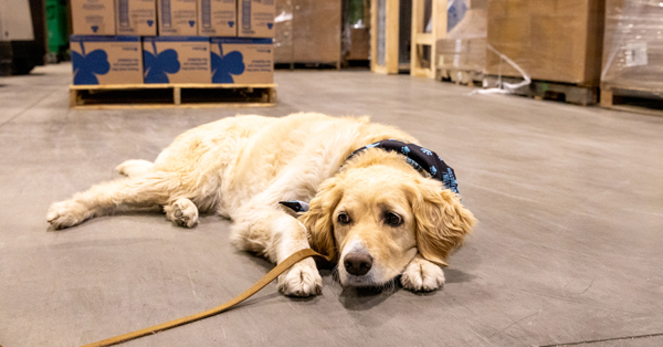 Manitoulin Transport Delivers Life Saving Pet Food To Wildfire Affected Communities