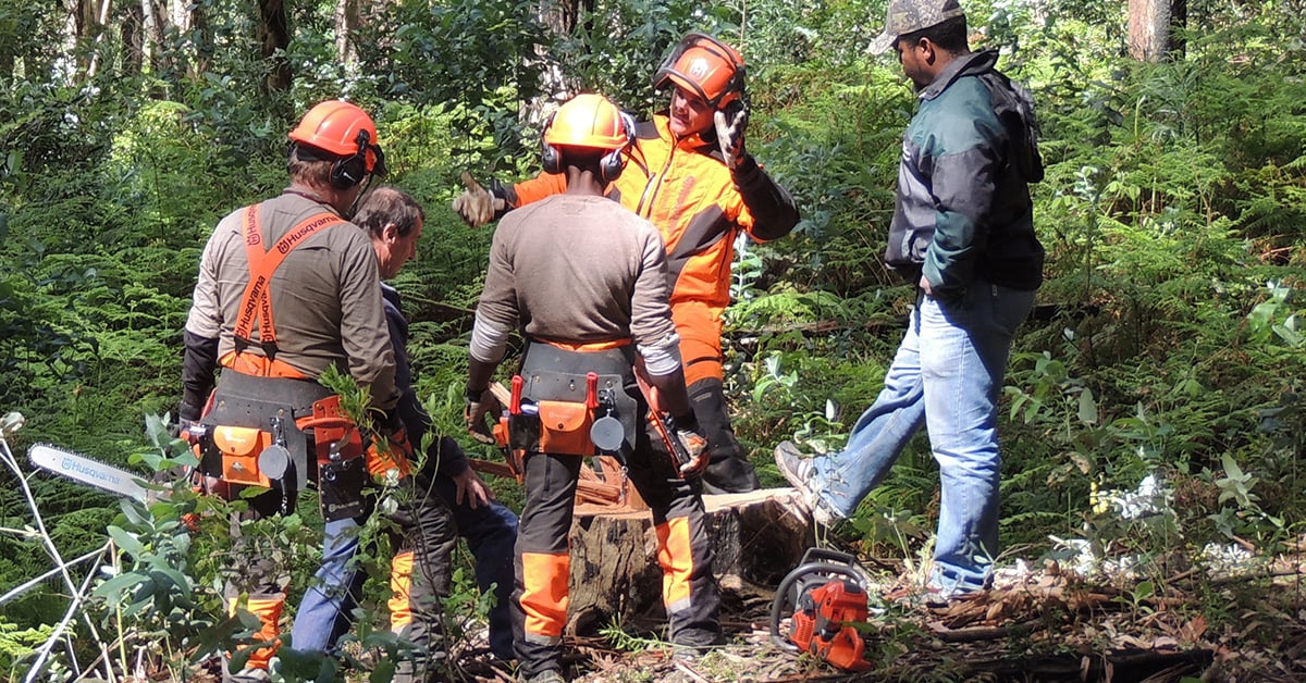 New B.C. Council Will Advocate For Forestry Workers
