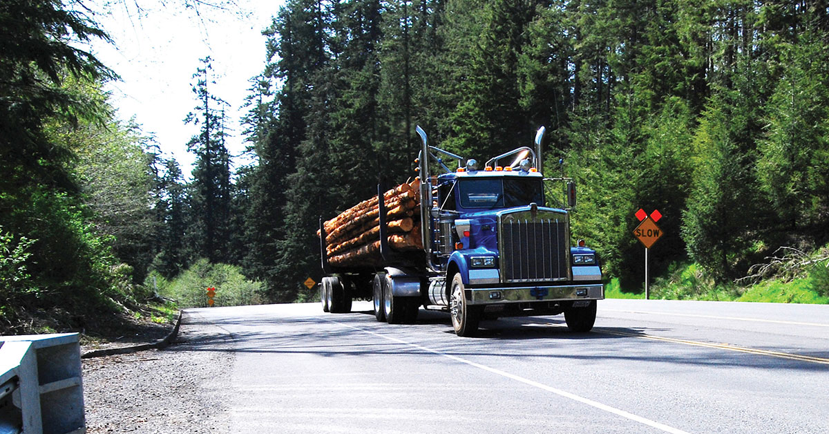 70+ Projects To Support Forestry In BC