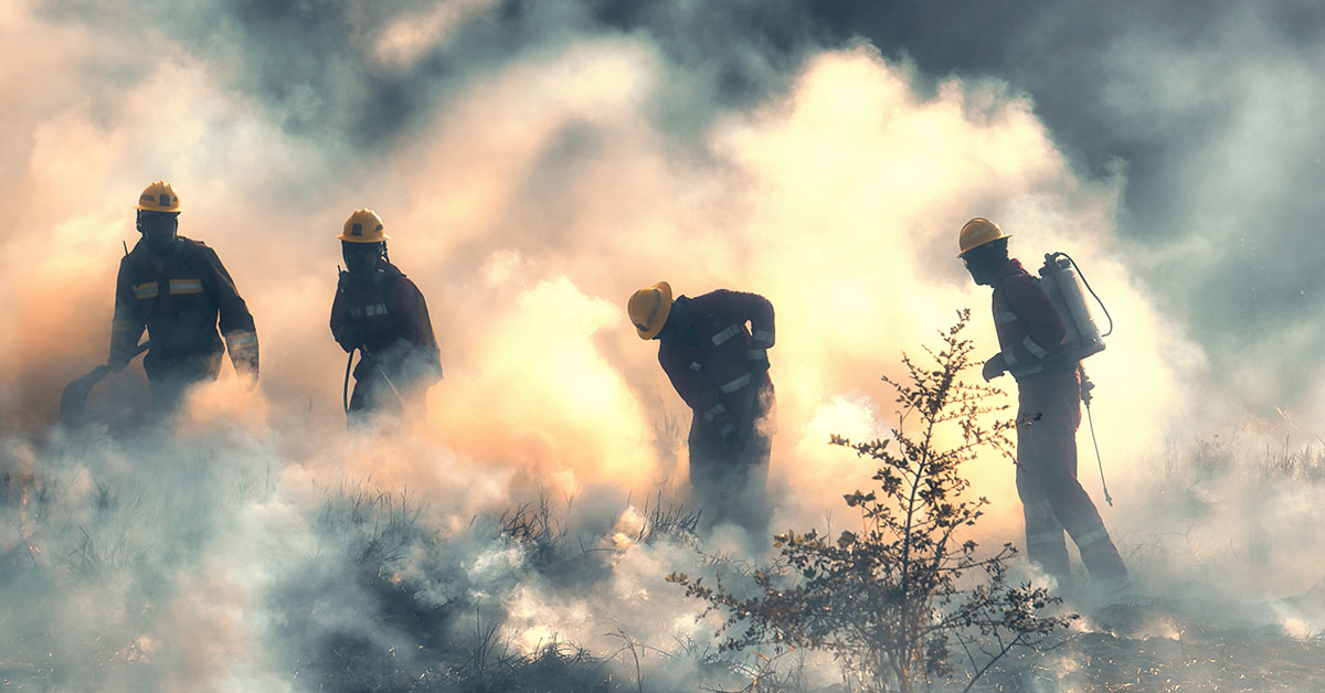 BC Wildfire Service Has Record Application Numbers Ahead Of Wildfire Season