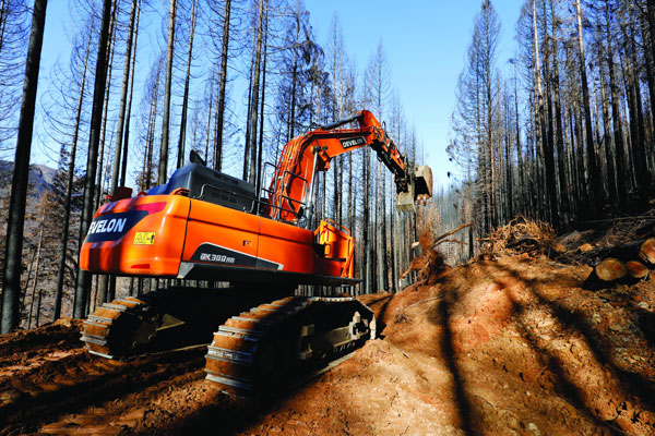 DEVELON Adds New Forestry Equipment