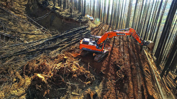 DEVELON Adds New Forestry Equipment