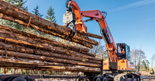 DEVELON Adds New Forestry Equipment
