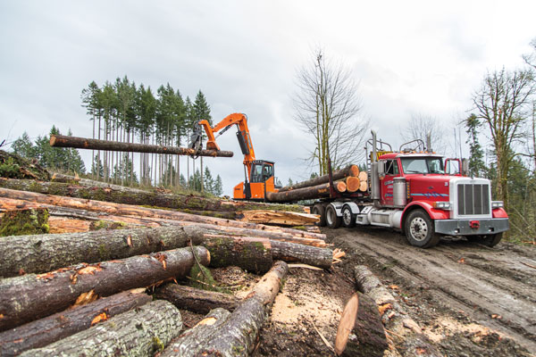 DEVELON Adds New Forestry Equipment