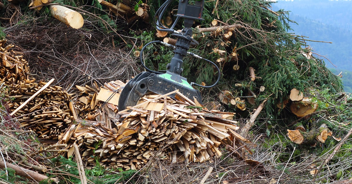 Turning Forestry Waste Into Industrial Fuel