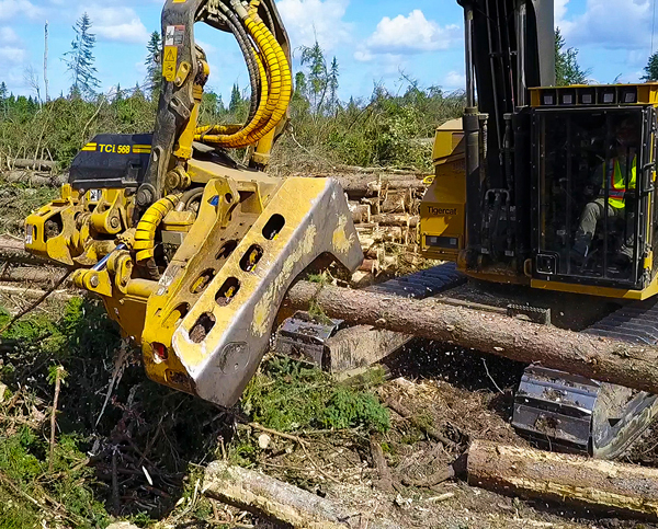 Tigercat Revamps 568 Harvesting Head