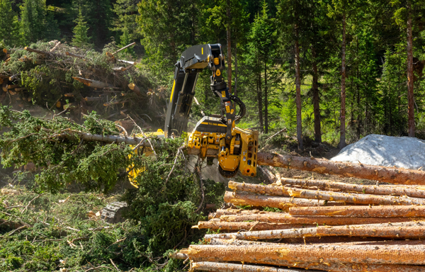 Tigercat Revamps 568 Harvesting Head