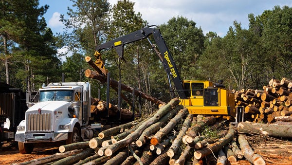 Tigercat 250E Loader