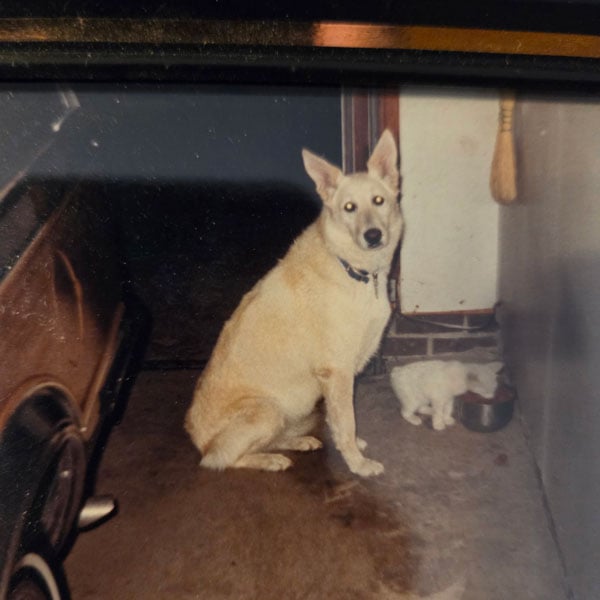 A Trucker's Tale - Slick Nick - Sheba the dog