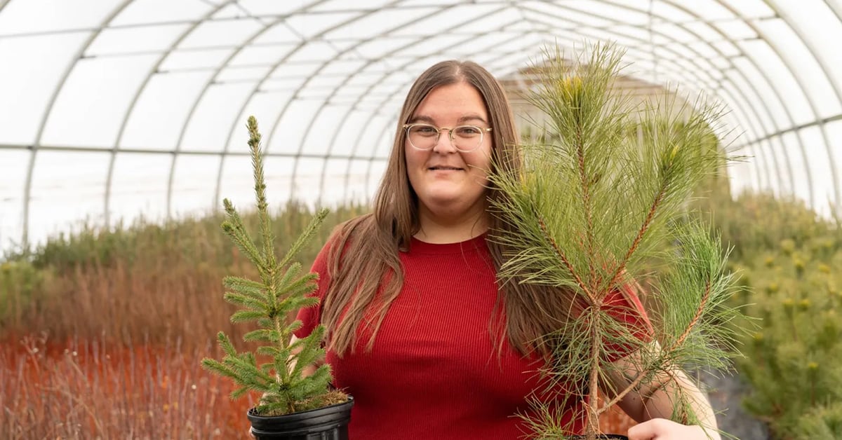 Meet The Tree Nursery Growing Future PEI Forests