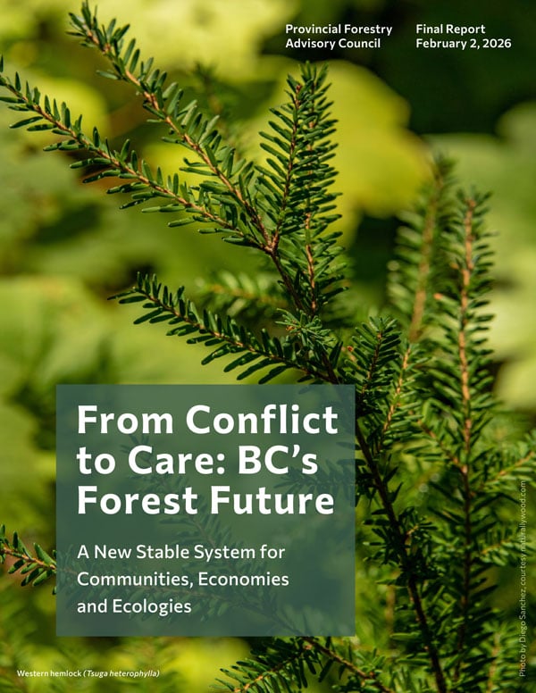 Download the report: Conflict to Care: BC’s Forest Future