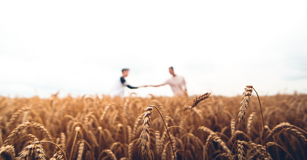 Winnipeg To Be Future Home of Gate